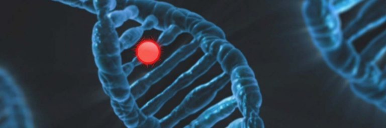 ADN modifié par oxyde d'éthylène